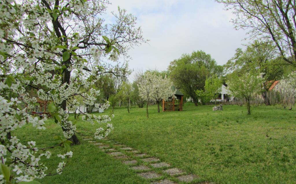 Szigligeti Panorama Apartmanhaz ภายนอก รูปภาพ